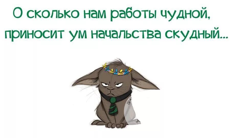 Начальство глупее. Юмор про работу. Статусы про начальника. Прикольные цитаты про работу. Смешные афоризмы про работу.