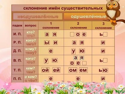 Дождь склонение и падеж