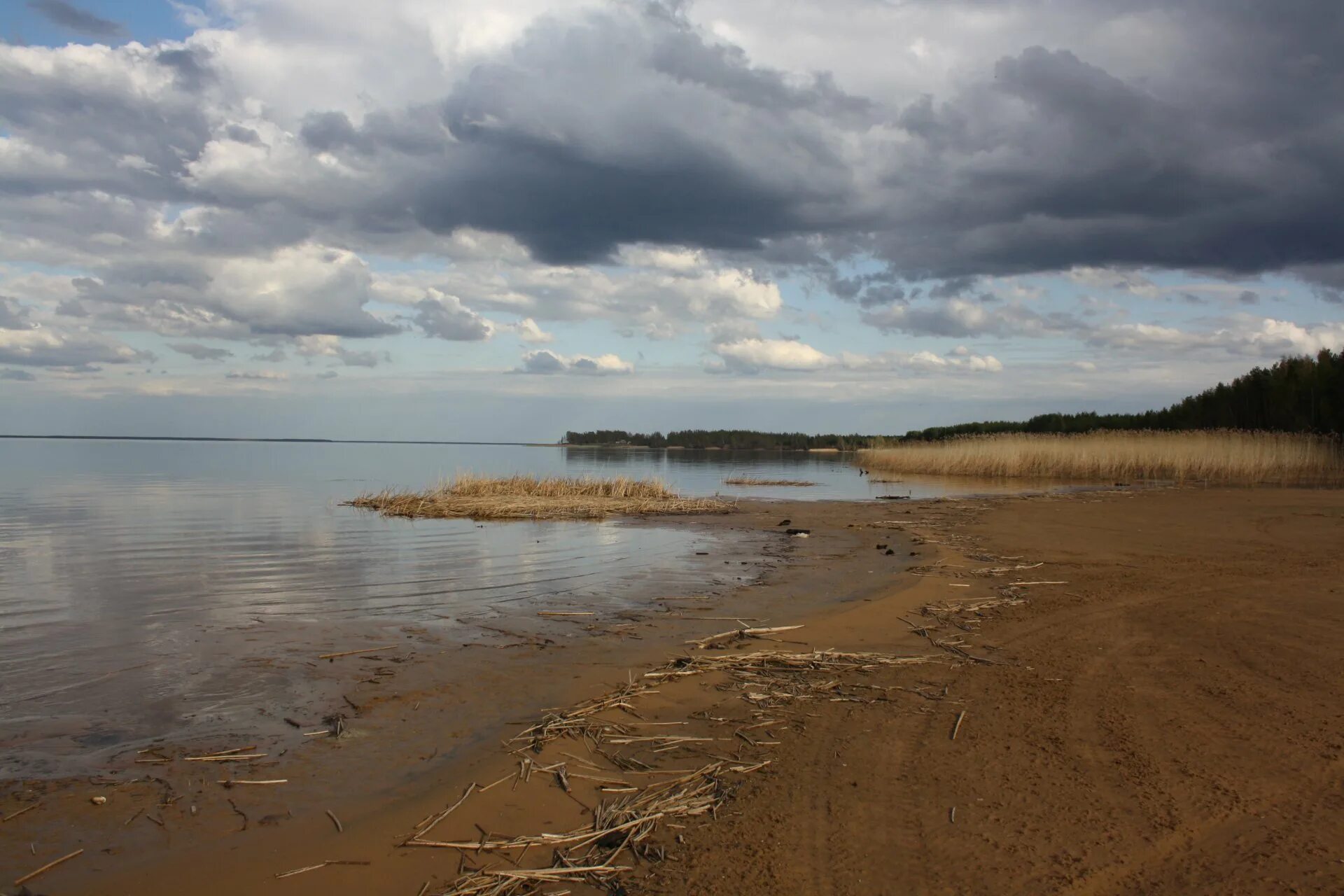 Рыбинское водохранилище есть. Остров Шумаровский Рыбинское водохранилище. Рыбинское водохранилище Весьегонск пляж. Ларионовский мыс Рыбинское водохранилище. Ларионово Рыбинское водохранилище.