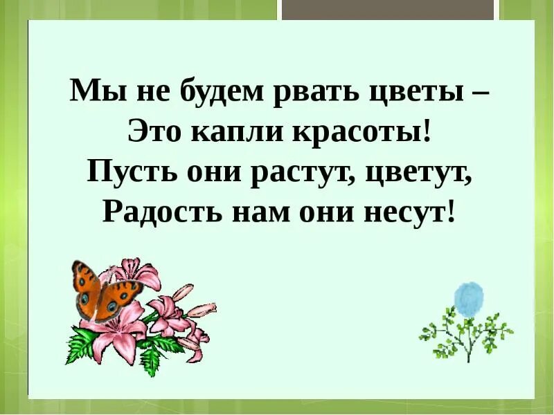 Стих берегите цветы. Берегите растения стихи. Стих не рвите цветы. Стих береги растения.