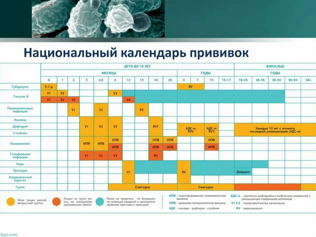 Национальный календарь профилактических прививок новый приказ. Национальный календарь прививок 2014 года таблица. Национальный календарь прививок РФ приказ Минздрава. Национальный календарь прививок 1122н.