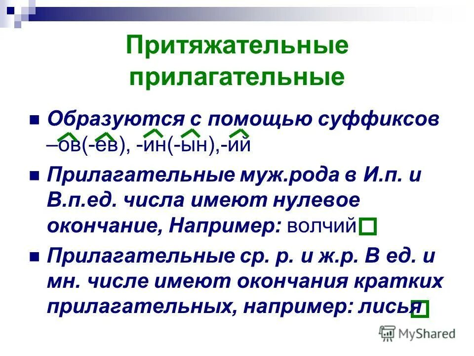 Притяжательные прилогательны. Притяжательные прилагательные 6 класс правило кратко. Урок на тему притяжательные прилагательные 6 класс. Правило образования притяжательных прилагательных. Притягательныеприлагательные.