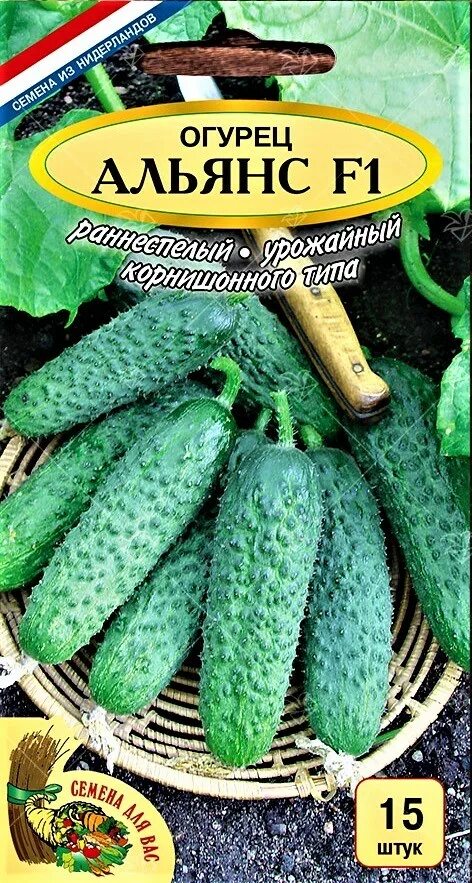 Огурец альянс описание отзывы фото. Альянс огурец описание. Огурец альянс плюс f1 10 шт. Огурцы альянс ф 1. Огурец альянс.