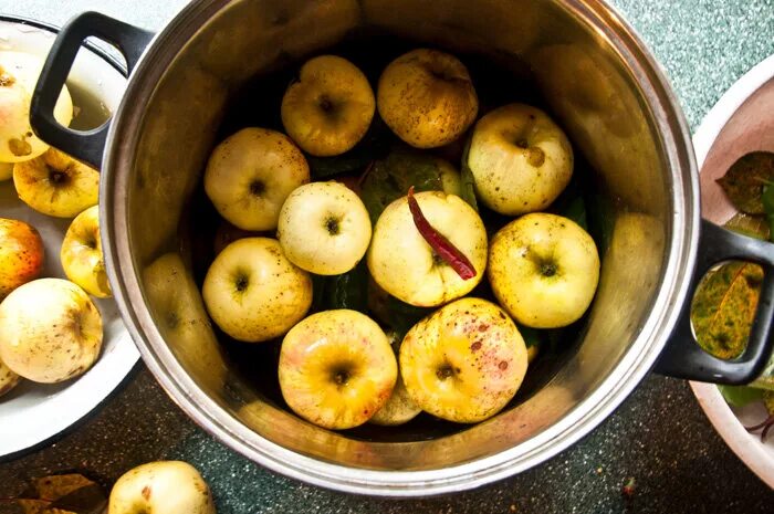 Купить моченые яблоки. Мочёные яблоки польза и вред.