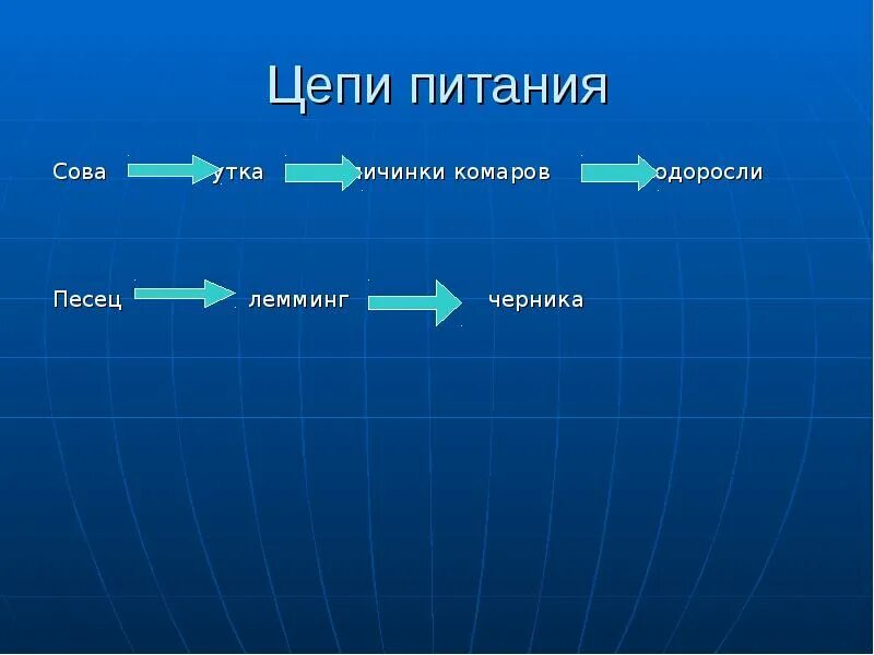 Составить пищевую цепь тундры. Пищевая цепочка тундры 4 класс. Цепь питания в тундре 4 класс. Цепь цепь питания в тундре. Цепь питания характерная для тундры.