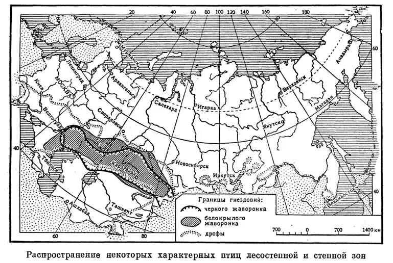 Карта распространения степей. Лесные лесостепные степные зоны распространения. Расположение природных зон на карте. Контурная карта лесостепная и Степная зона.