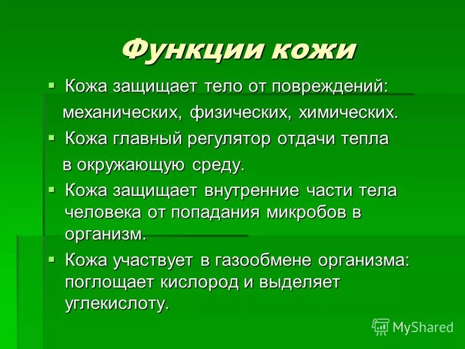 Защитить функция. Сообщение о коже 3 класс. Значение кожи для организма 4 класс. Доклад на тему значение кожи. Доклад кожа защита организма.