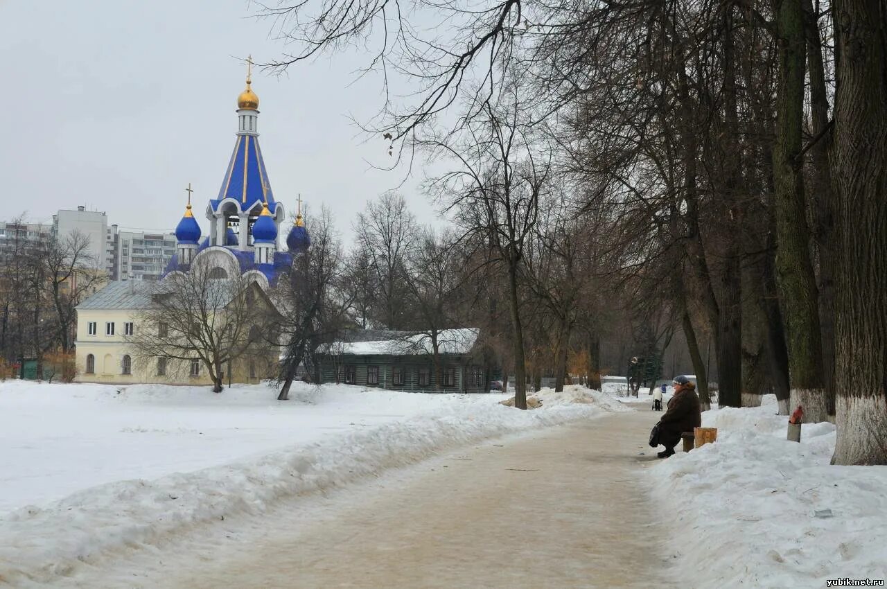 Озеро Костино Королев зима. Пруд Костино Королев. Парк Костино Королев. Костинская Церковь в Королеве.