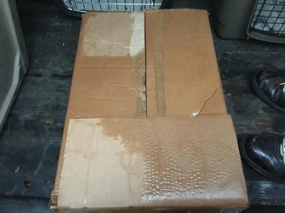 мокрая картонная коробка. мокрая коробка. грязная картонная коробка. мкпп в лепестковым переключением. старый картон коробки.