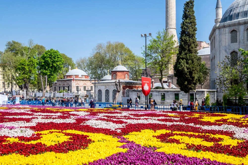 Парк тюльпанов в стамбуле. Парк Гюльхане в Стамбуле. Стамбул Эмирган тюльпаны. Парк Гюльхане фестиваль тюльпанов. Тюльпаны в Стамбуле Гюльхане.