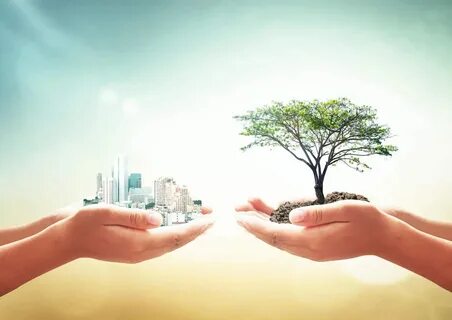 Innovative environment
