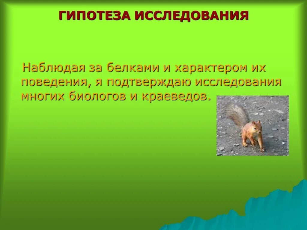 Наблюдая за жизнью животных. Наблюдение за белкой. Гипотеза по теме белки. Наблюдения за кормовым поведением белок. Изучение животных белок.