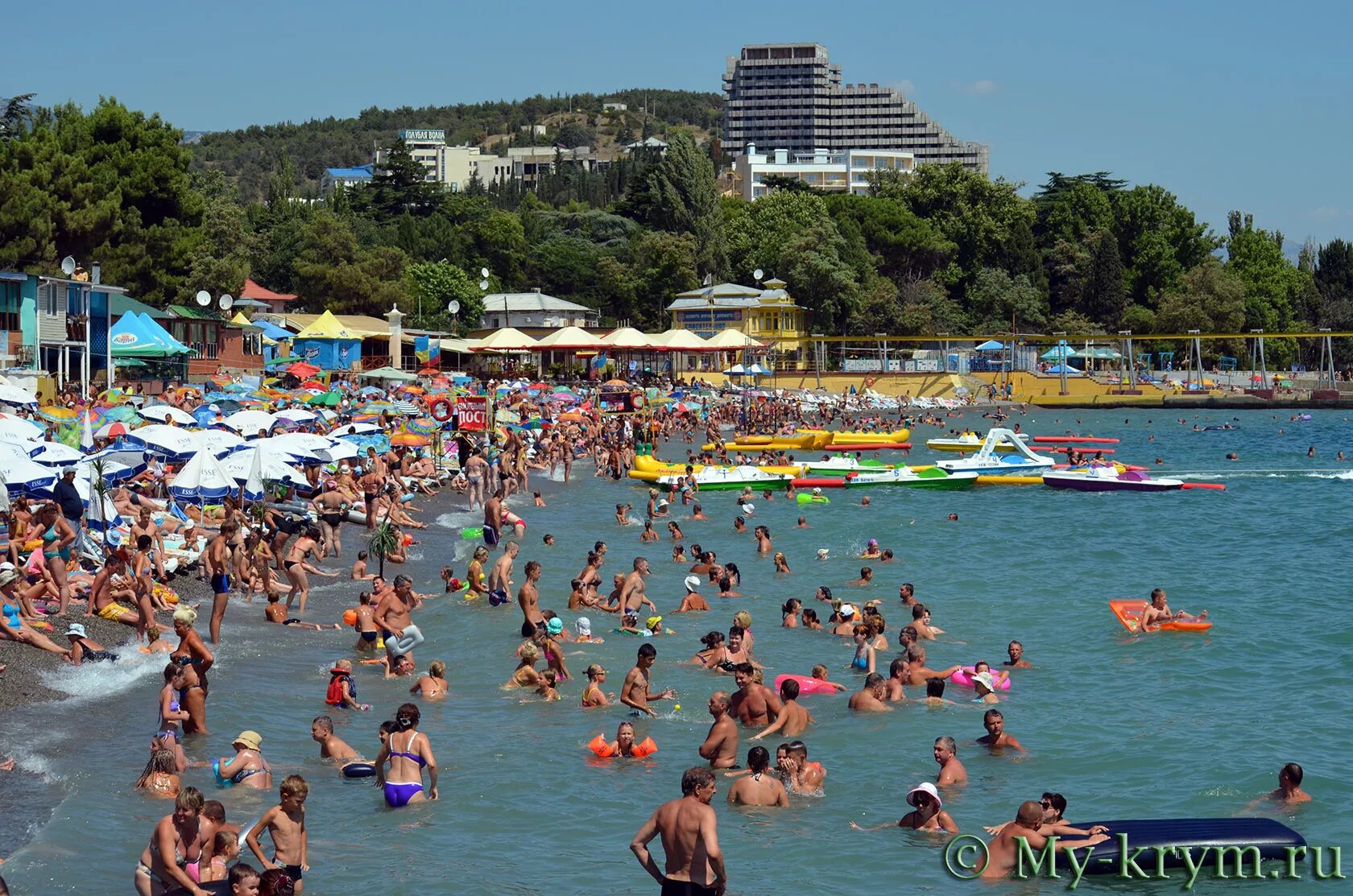 Температура воды в черном в алуште. Пляж ласковый берег Алушта. Центральный городской пляж Алушта. Пляжи Алушты 2023. Берег пляж Профессорский Алушта.