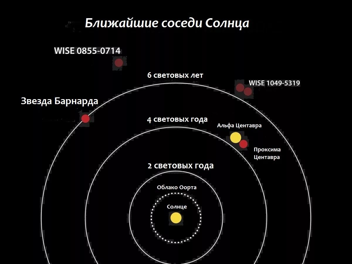 Ближайшей к солнцу звездой является. Звёздная система Альфа Центавра. Система Альфа Центавра планеты. Проксима Центавра Созвездие. Альфа Центавра звезд Проксима.