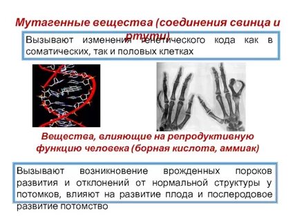 Мутагенные химические вещества