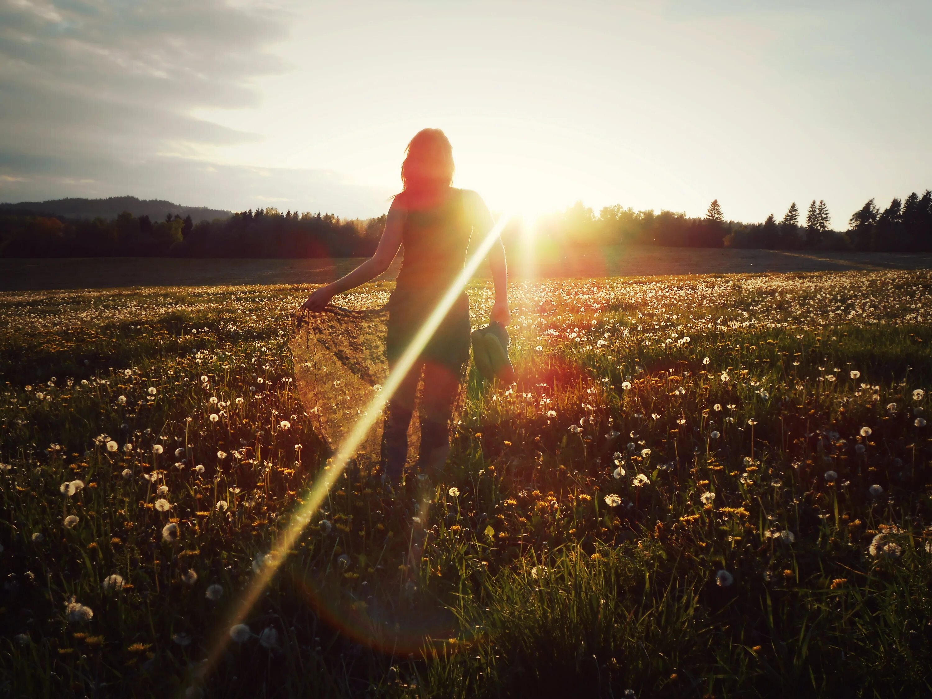 Запуталось солнце. Девушка в солнечных лучах. Девушка и солнце. Девушка на рассвете. Девушка в поле.