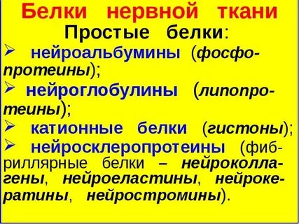 Белки тканей