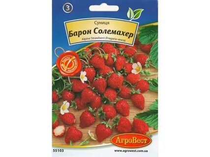 Земляника барон солемахер