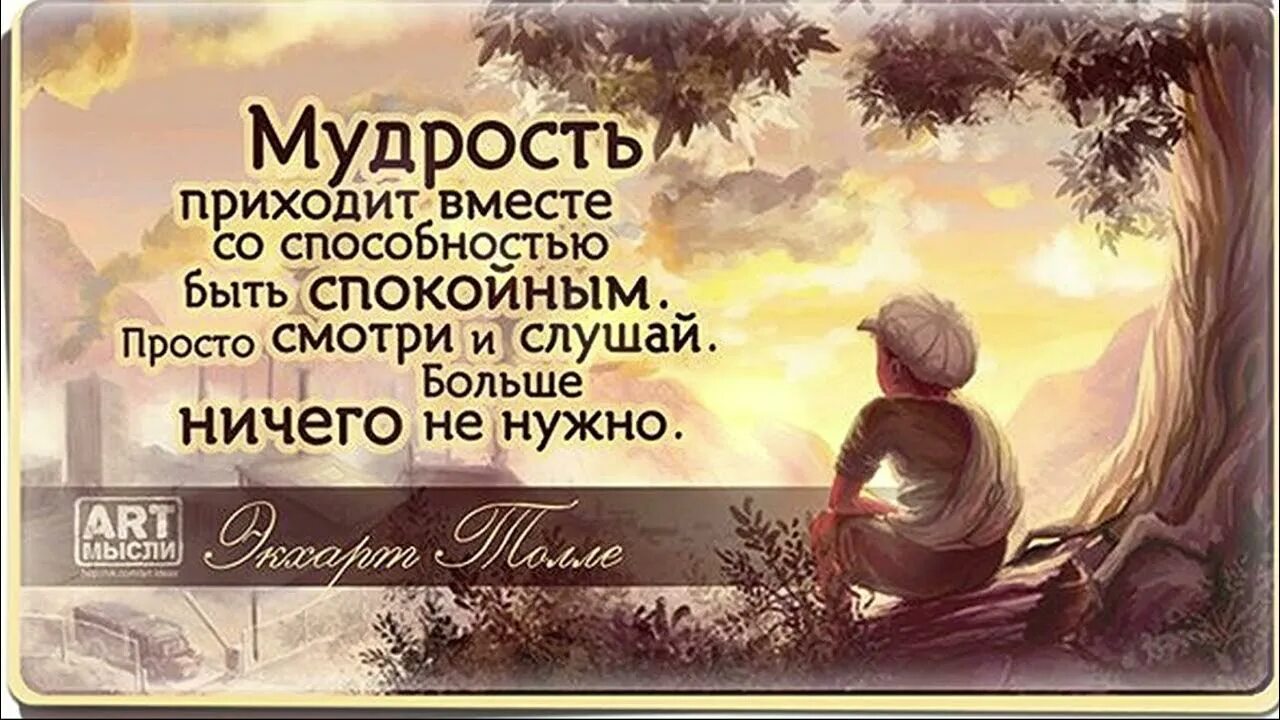 Фразы с 2 смыслами. Умные фразы. Мудрые изречения. Мудрые фразы. Умные цитаты.