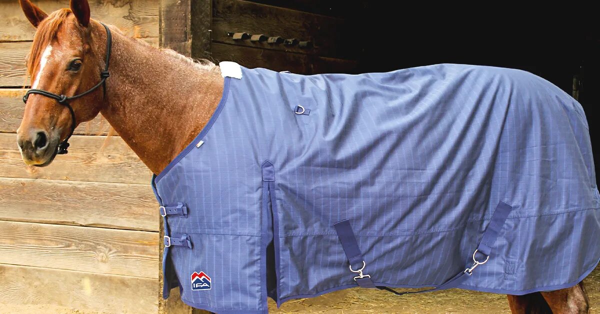 Horse blanket. Трок для лошади. Лошадь в юбке. Лошадь в одеяле. Лошадь под одеялом.