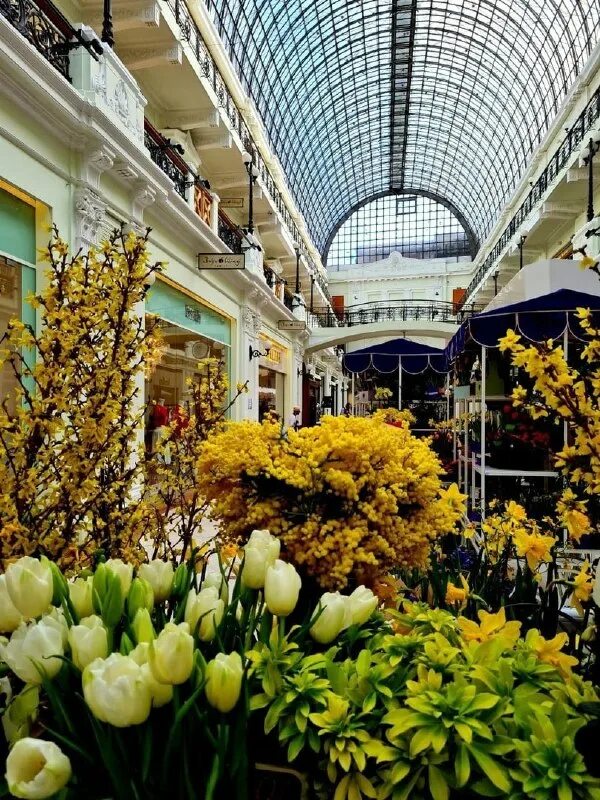 Пассаж метро. Пассаж метро. Пассаж метро. Петровский пассаж москва кузнецкий мост. Сервисный центр марьинский пассаж.