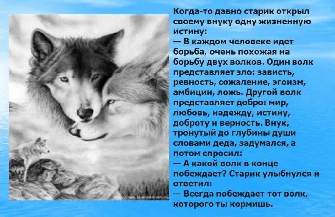 Легенда про злого и доброго волка. Куда увели волка в конце сказки. Куда увели волка в конце сказки. Волк сказка. Куда увели волка в конце сказки.