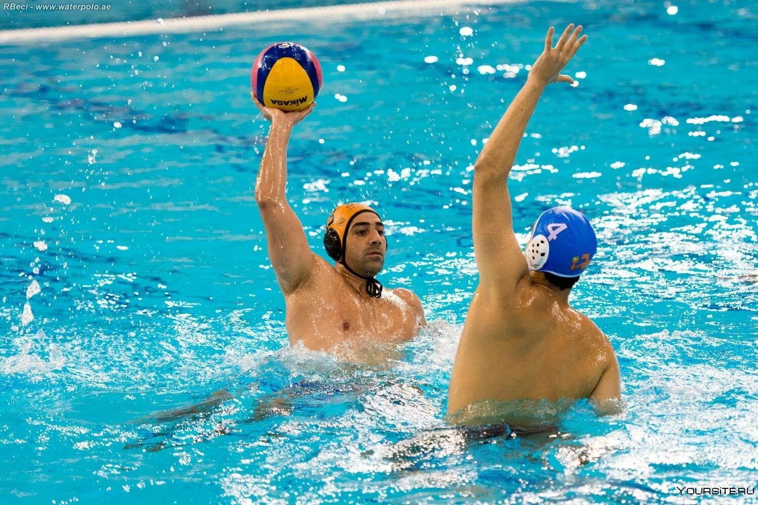 Купить водное поло. Water Polo ps1. Бранко Пекович водное поло.