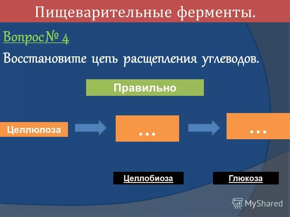 Желчь расщепляет углеводы расщепляет жиры