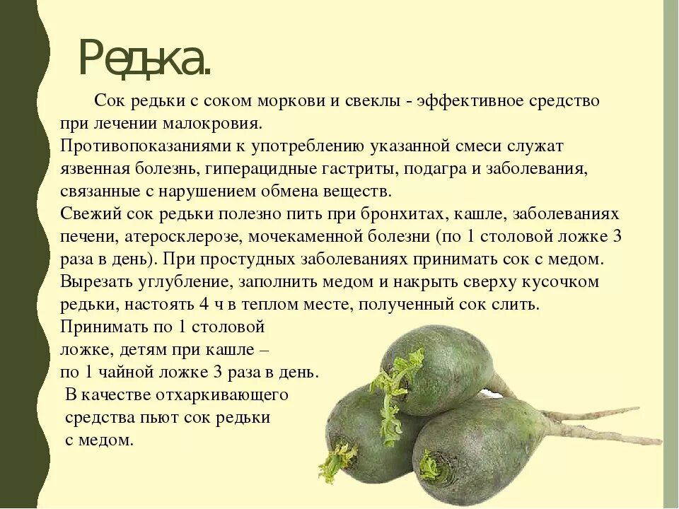 Редиска при подагре. Чем полезна редька зеленая. Чем полезна черная редька. Для чего полезна редька. Для чего полезна редька зеленая.