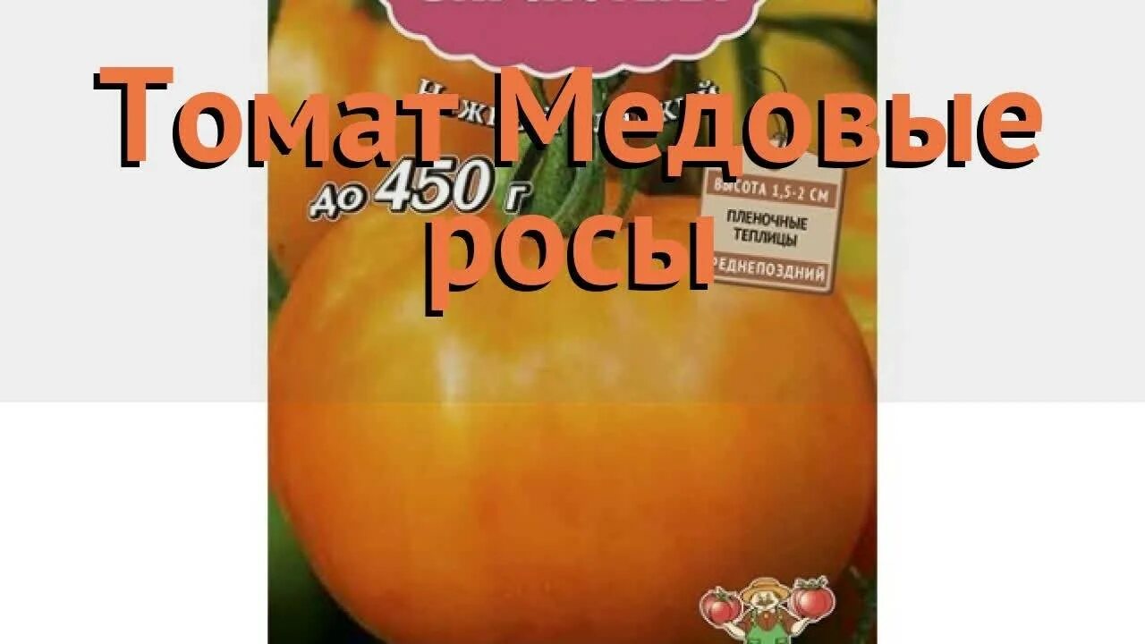 Сорт томатов медовые росы. Томат медовый спас. Медовые росы помидоры описание сорта. Медовые росы вкуснотека.