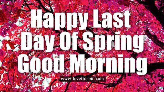 Was the best in spring. Last Day of Spring. Happy last Day of Spring. Happy last Day of November картинки. Last Day of work.