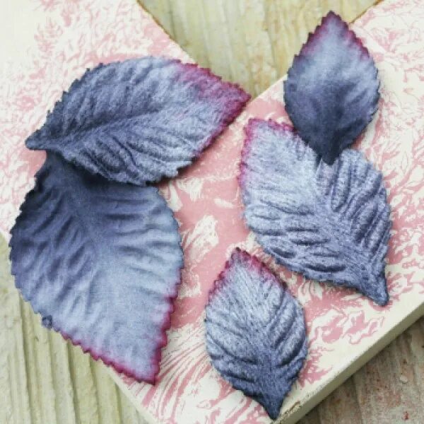 Листочки из бархата. Ветка с листьями нфт для видео. Листья из бархата. Бархатные листочки. Бархатные листочки.