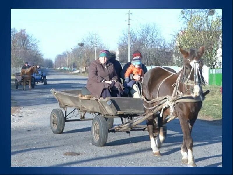 ослик с повозкой. лошадь запряженная в телегу. лошадь запряженная в телегу. лошадь запряженная в телегу. девушка в телеге.