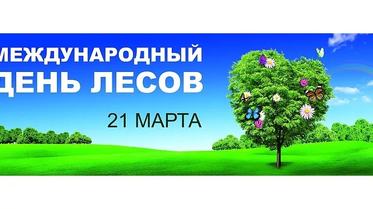 21 международный день леса. Международный день лесов. Всемирный день леса.