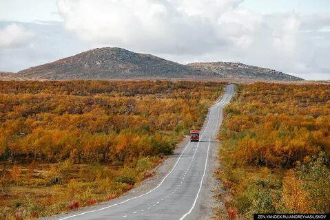 Дорога мурманск