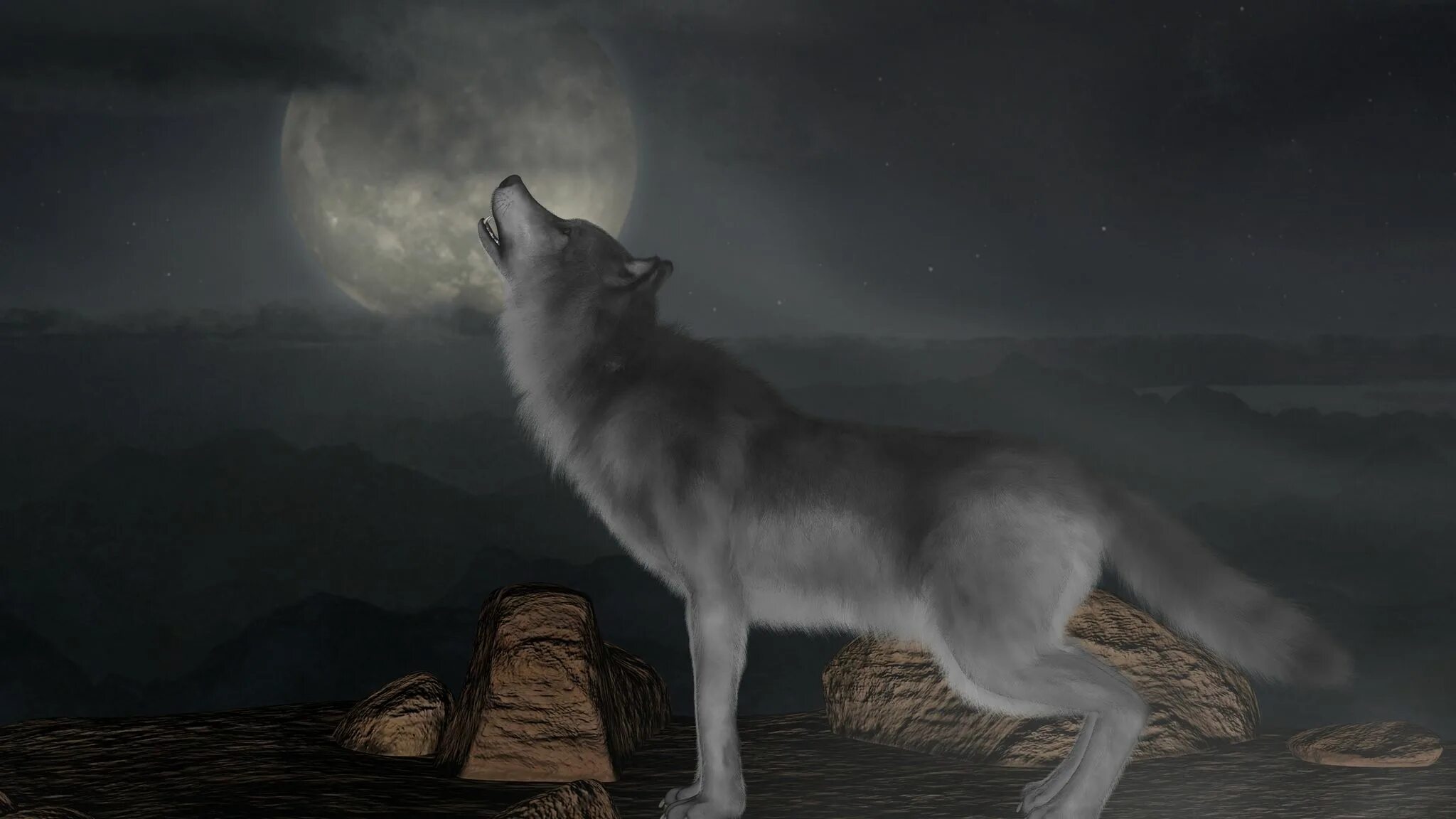 Волк воет на луну. Воющий волк. Волк и Луна. Лунные волки.