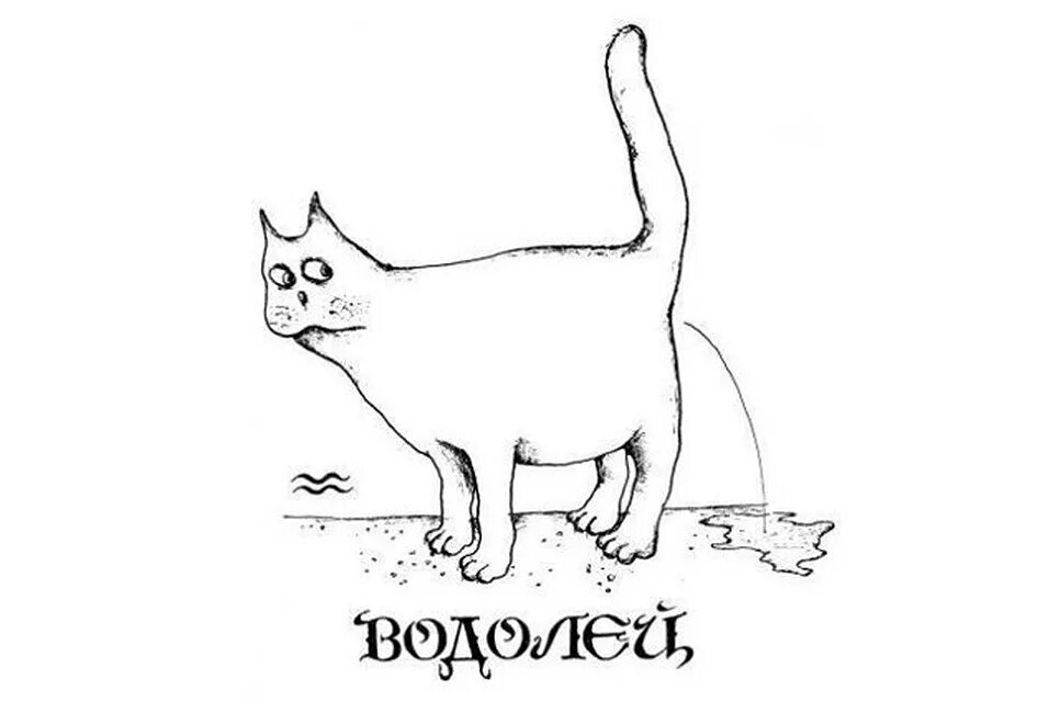 Кот водолея. Тебе спинку потереть. Котик водолей. Кошка водолея рисунок. Котогороскоп.