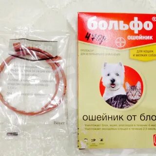 Поможет ли ошейник