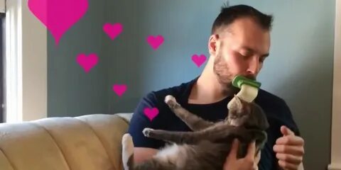 Lick your