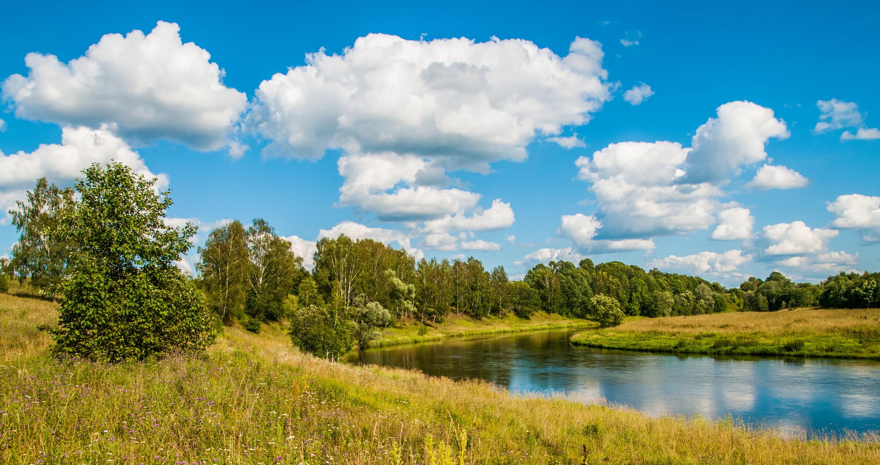 Russia is a of forests