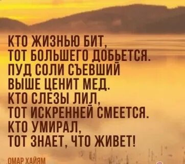 Бит жизни