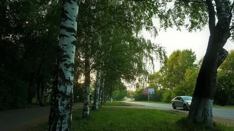 Погода в глазове в ноябре