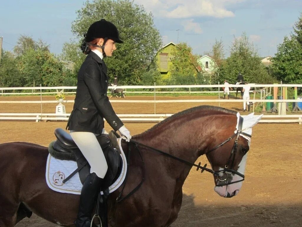 Конный клуб horse. Кск сивка подольск. Конный клуб horse. Катание на лошадях спб. Конный клуб легенда.