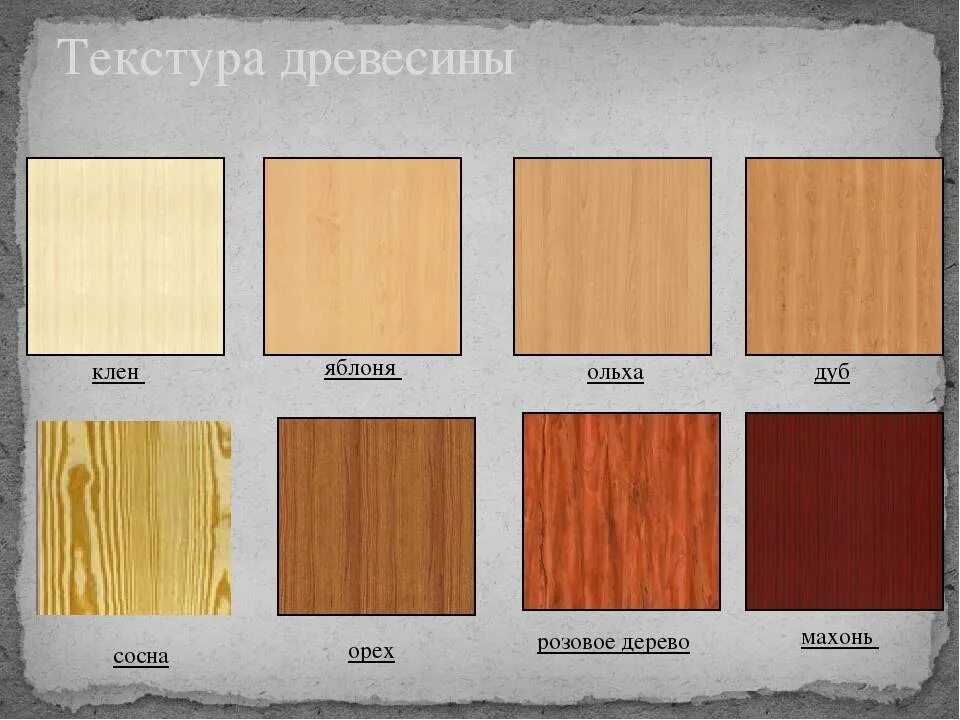 Морилка клен. Морилка клен цвет. цвета пород дерева. цвет различных пород дерева. цвет древесины разных деревьев.