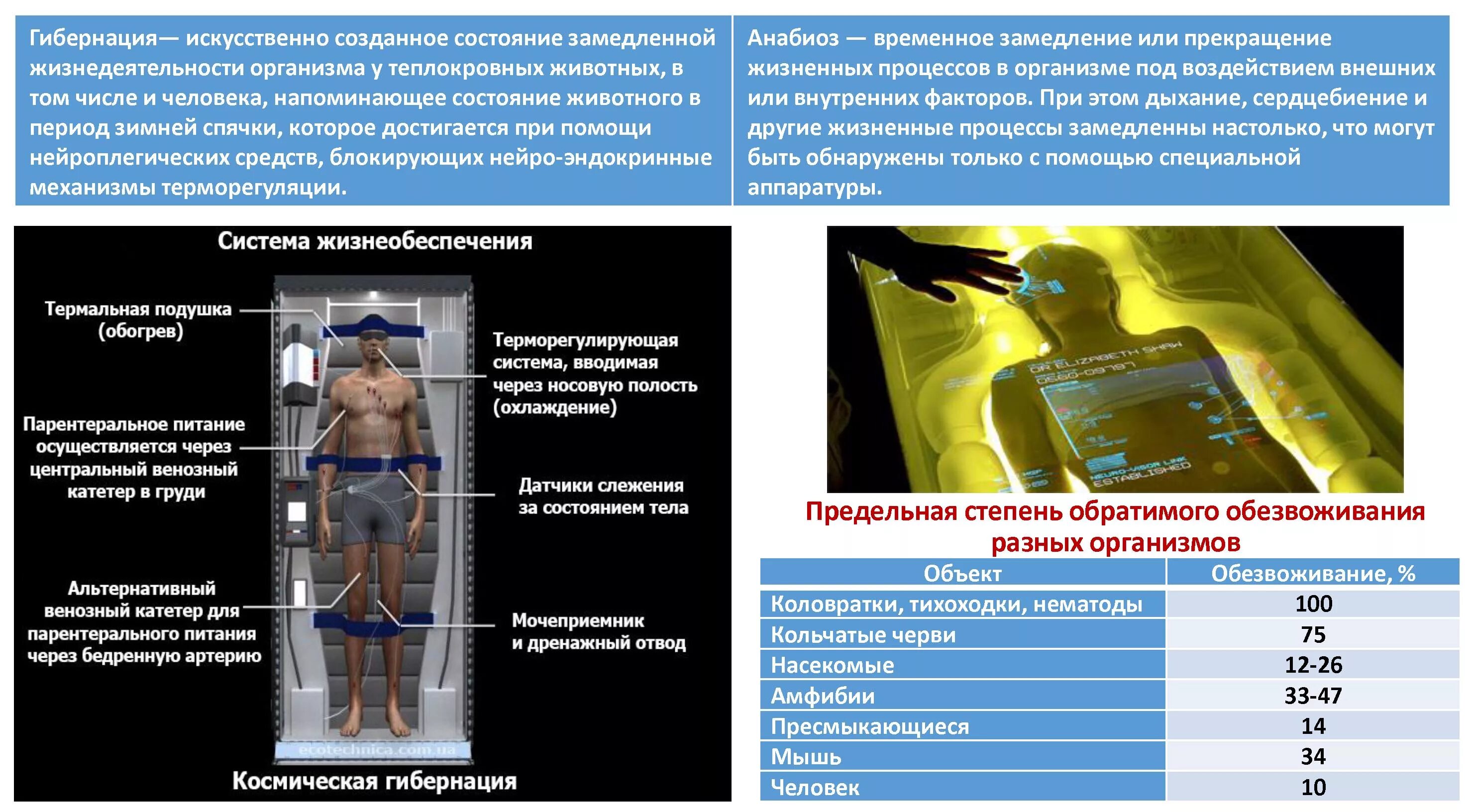 Условия анабиоза. Искусственная гибернация. Капсула гибернации. Гибернация организма. Понятие о гибернации.