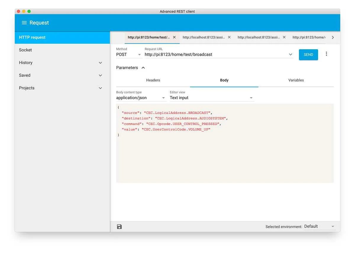 Wronger client. Advanced rest client. аналог advanced rest client для mac os. программа эдвансед. locid клиент.