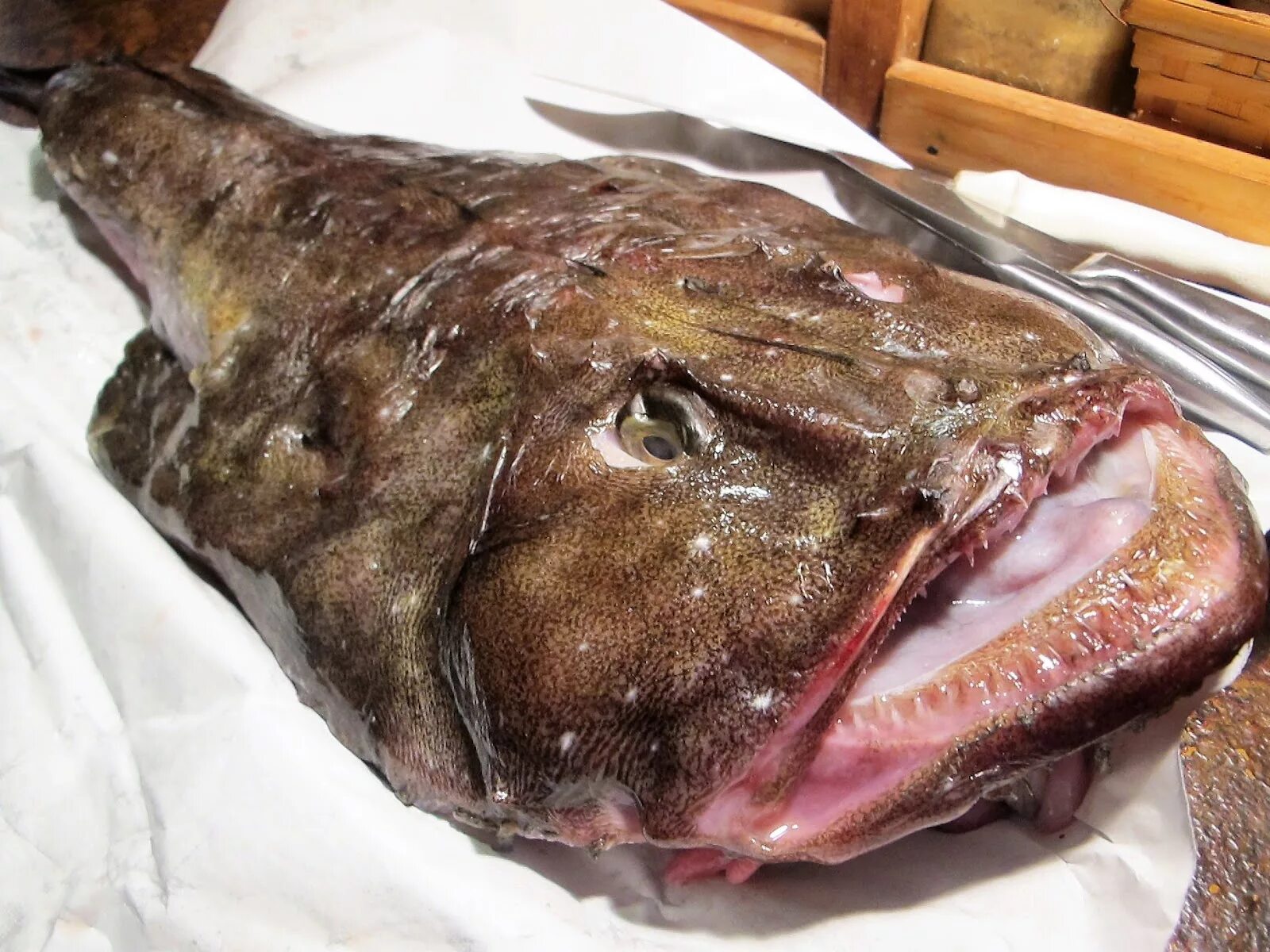 Невкусная рыба. Морской черт. Морской черт блюдо. Рыба морской черт Баренцева моря.