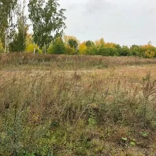 Продать участок коммерческого назначения