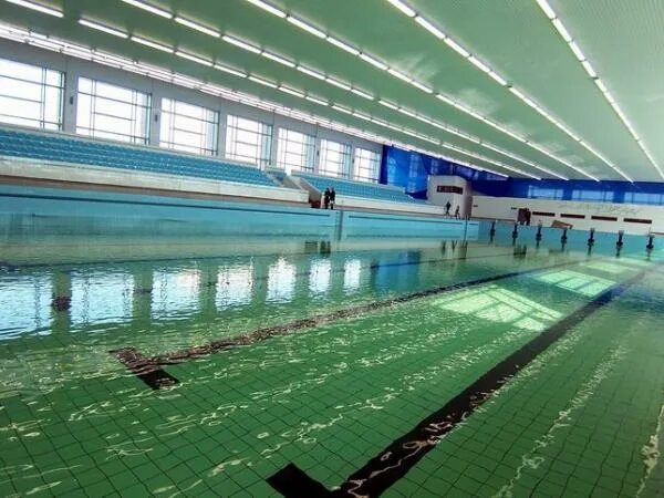 Бассейн дельфин набережные. Бассейн дельфин набережные