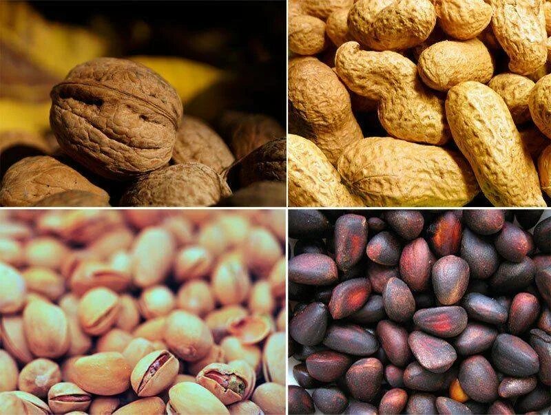 Грецкий орех польза. Самые полезные орехи для организма. Чем полезны орехи для организма. Какие орехи самыеполезгын. Самые полезные орешки.